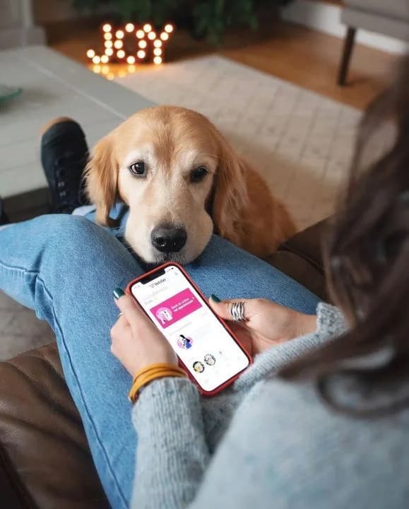 A golden retriever resting against its owner