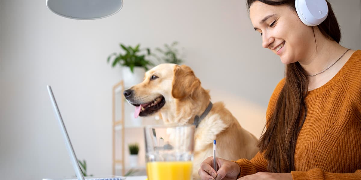 A vet examining a small dog