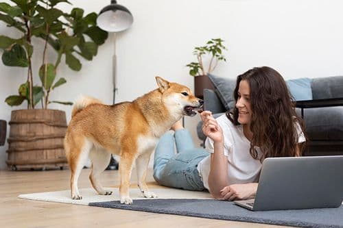 A dog and its owner relaxing at home
